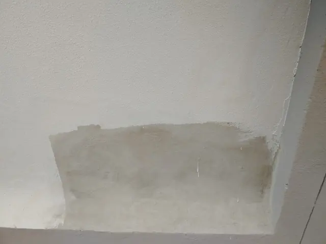 White textured wall with a rectangular patch sanded back to bare plaster